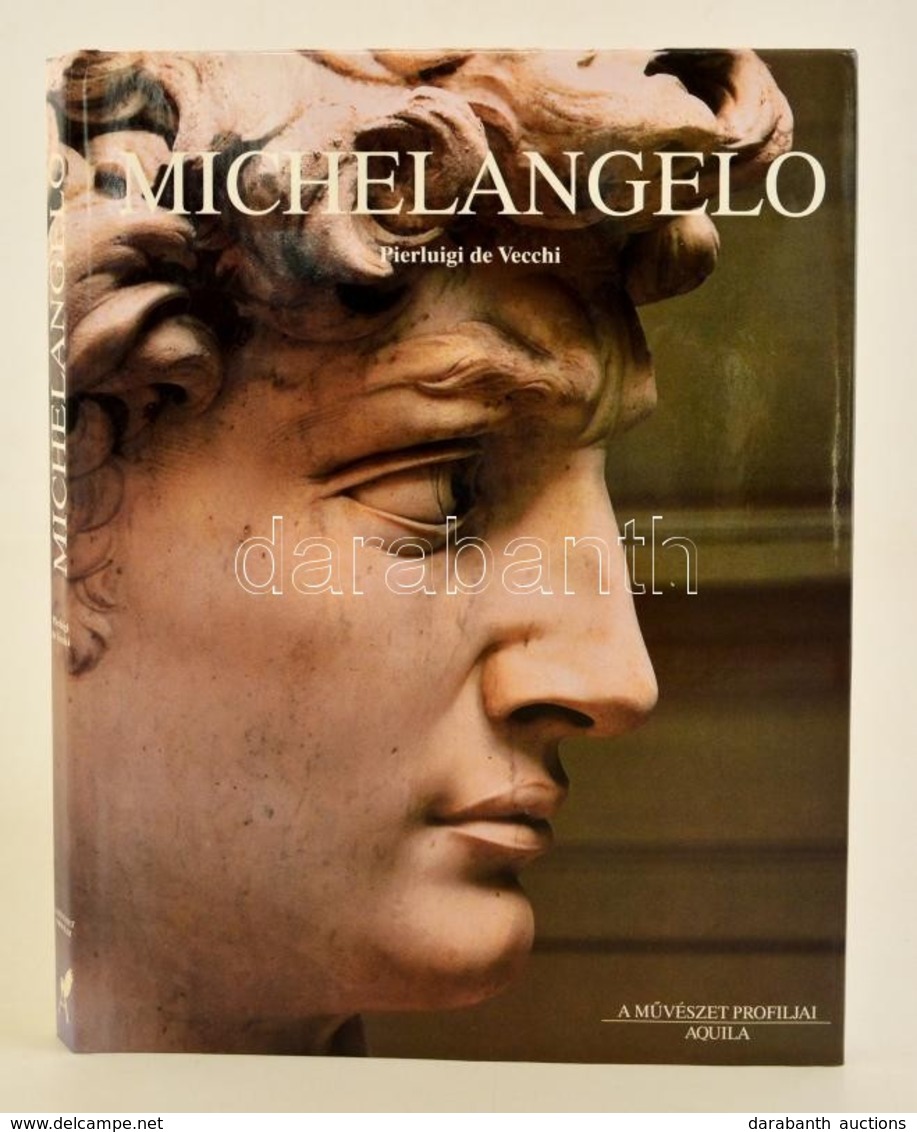 De Vecchi, Pierluigi: MIchelangelo. 2005, Aquila Könyvkiadó. Kiadói Kartonált Kötés, Papír Védőborítóval, Jó állapotban. - Non Classificati