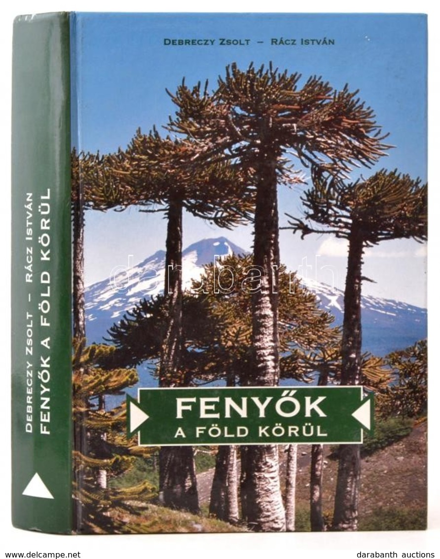 Dr. Debreczeny Zsolt - Dr. Rácz István: Fenyők A Föld Körül. Bp., 2000, Dendrológiai Alapítvány. Kiadói Kartonált Kötés, - Non Classificati