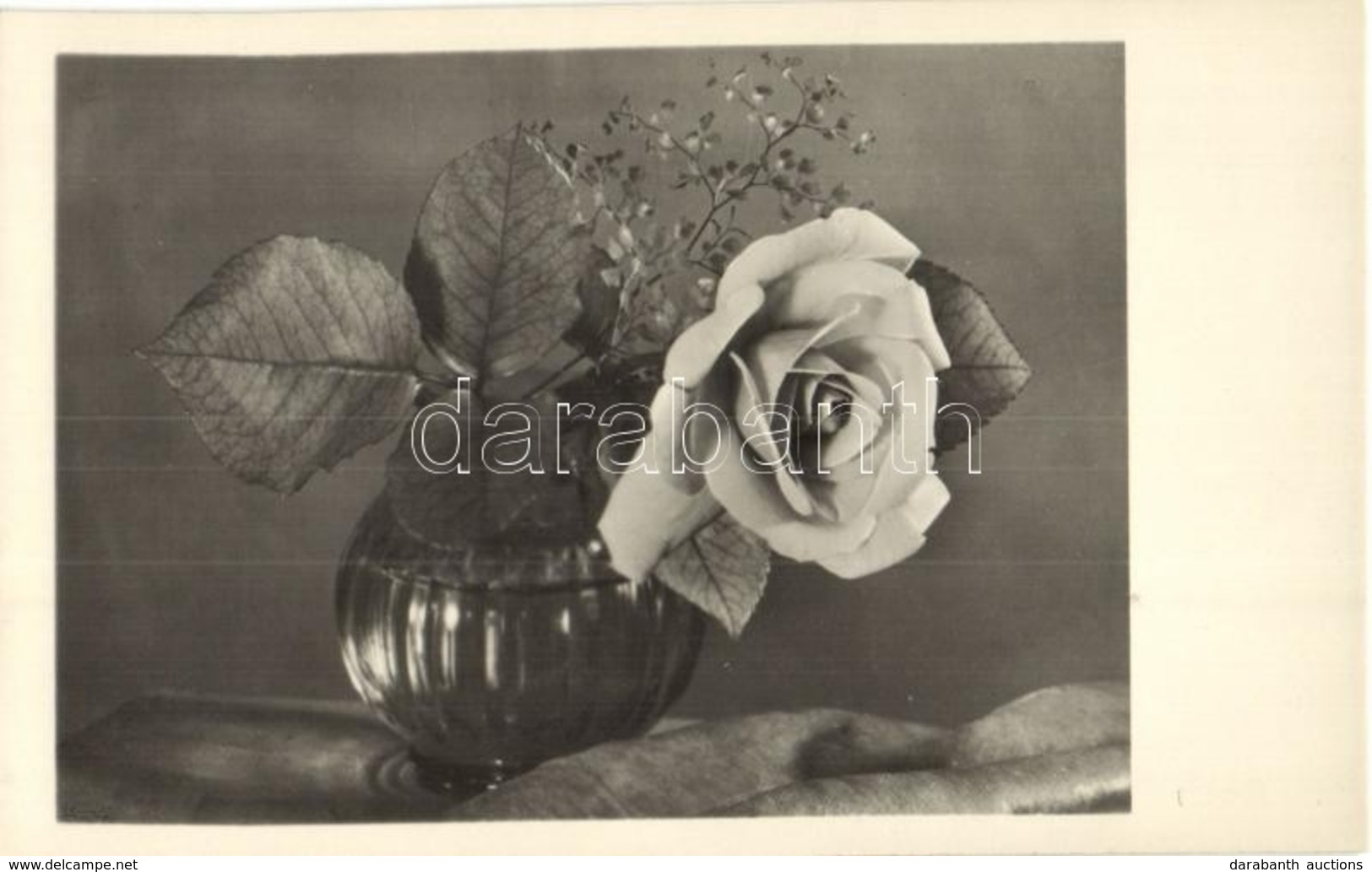 ** 68 Db MODERN Fekete-fehér Virág Motívumos Képeslap / 68 Modern Black&white Motive Postcards: Flowers - Sin Clasificación