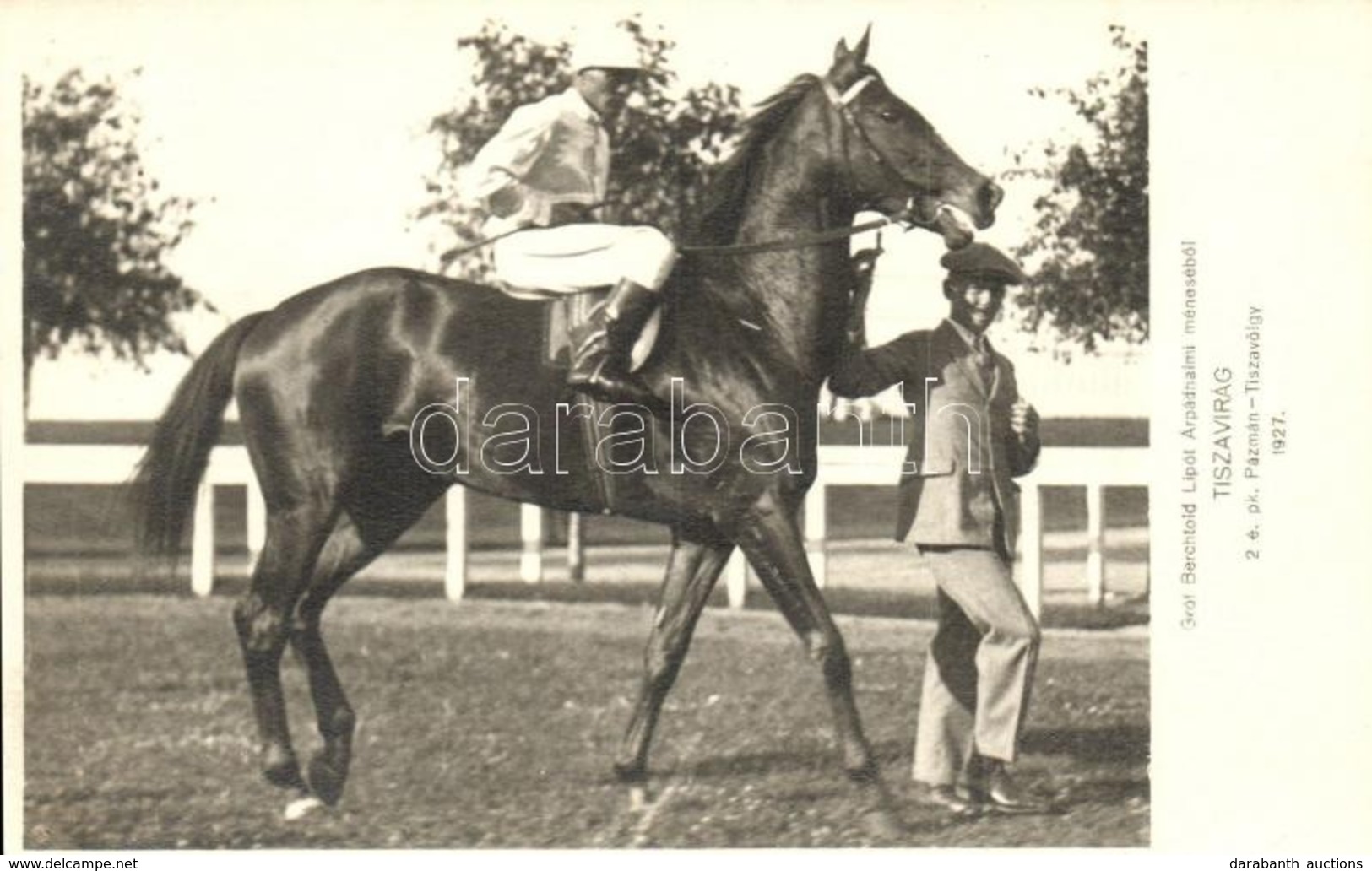 ** T2/T3 1927 Árpádhalom, Tiszavirág Nevű Ló Gróf Berchtold Lipót (aki A Lovat Vezeti) árpádhalmi Méneséből (EK) - Non Classificati