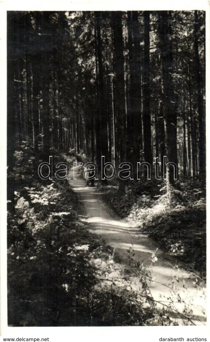 T2 Borszék, Borsec; Árnyas Sétány / Promenade - Non Classificati