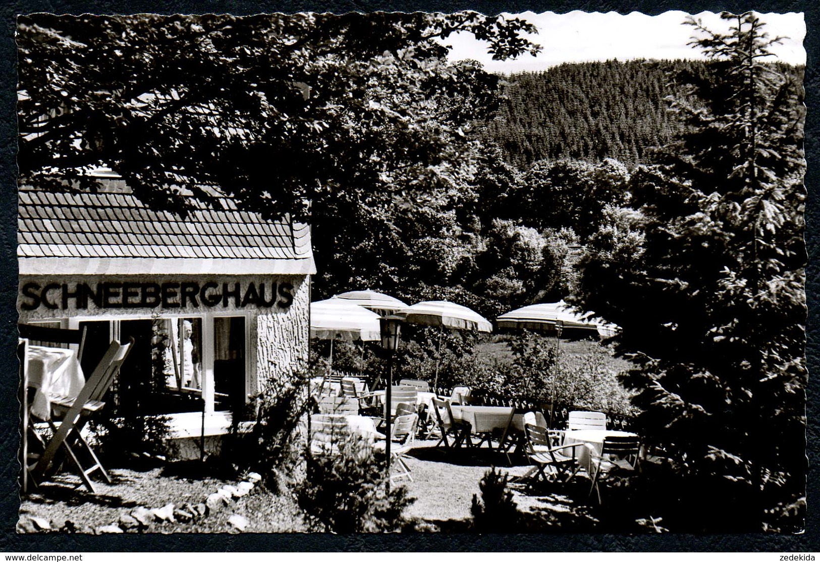 B7524 - TOP - Willingen Waldeck - Hotel Cafe Restaurant Schneeberghaus - W. Werner - Waldeck