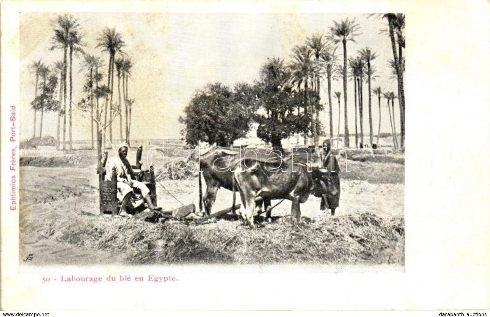 ** T2 Labourage Du Blé En Egypte / Egyptian Peasant, Folklore - Non Classificati