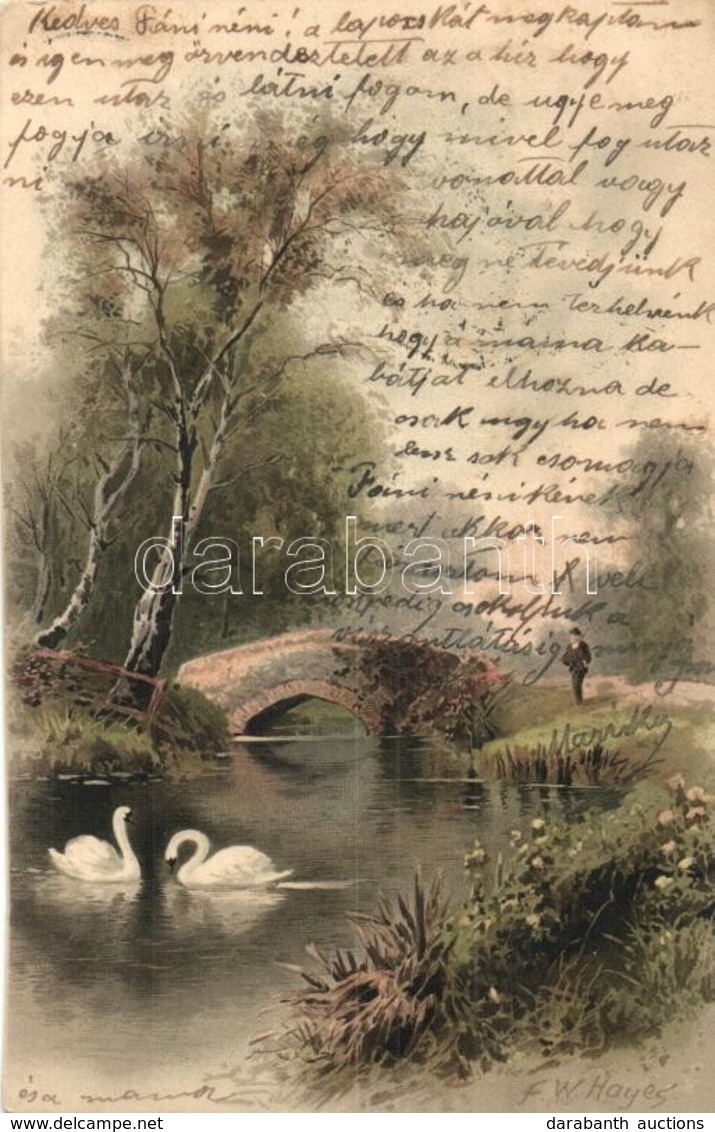 T2 1905 Litho Art Postcard With Little Bridge And Swans. Meissner & Buch Künstler-Postkarten Serie 1263. S: F. W. Hayes - Ohne Zuordnung