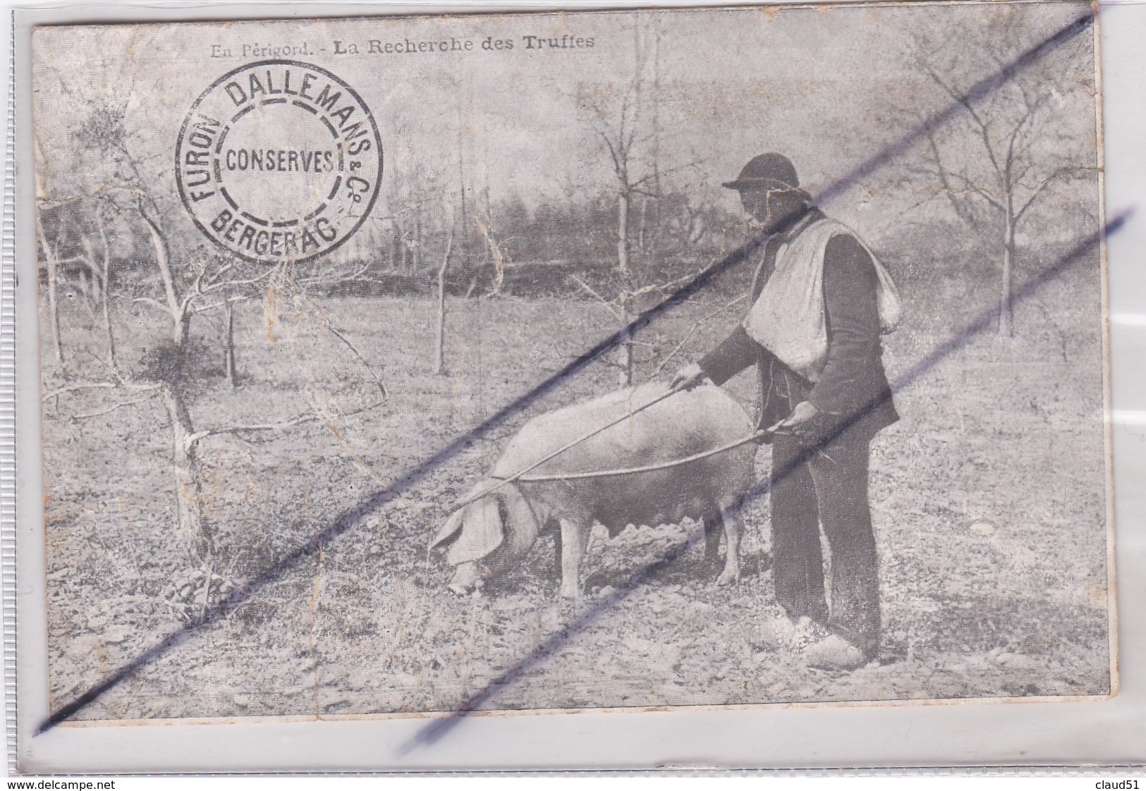 En Périgord.La Recherche Des Truffes.Ets FURON DALLEMANS (Conserves)Bergerac (24) Carte Double Avec Tarifs & Conditions - Bergerac