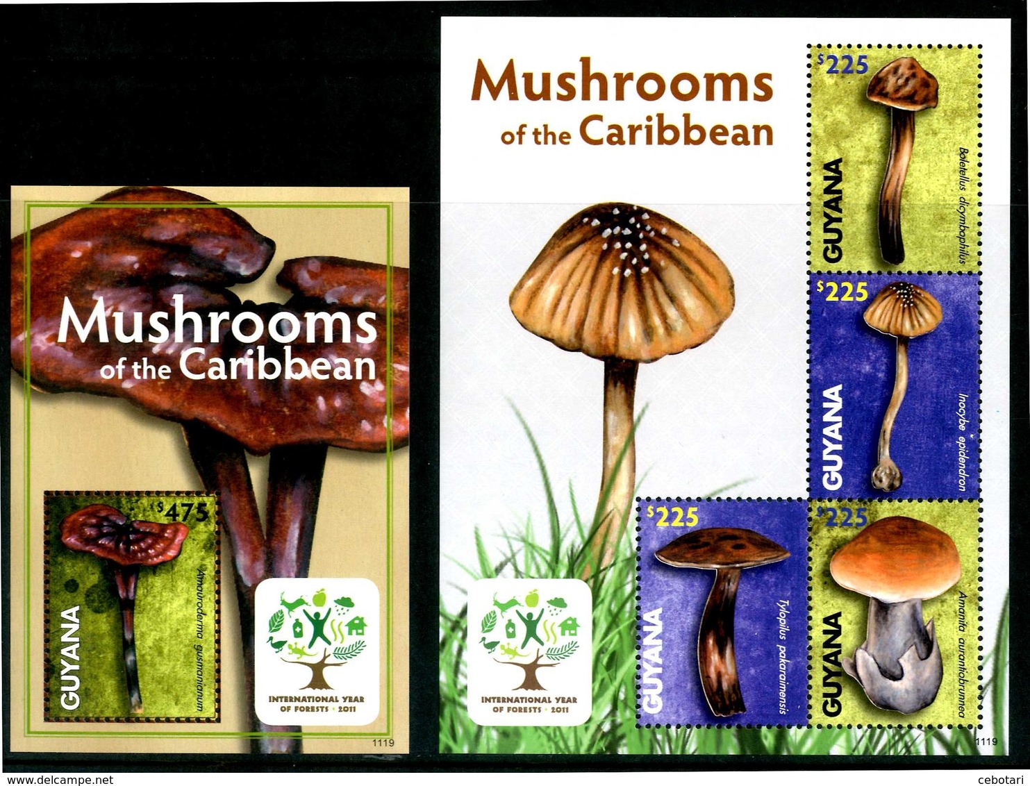 GUYANA 2011 - Funghi / Mushrooms - "International Year Of Forests 2011" - Miniblock + Block Di 4 Val. MNH. - Funghi