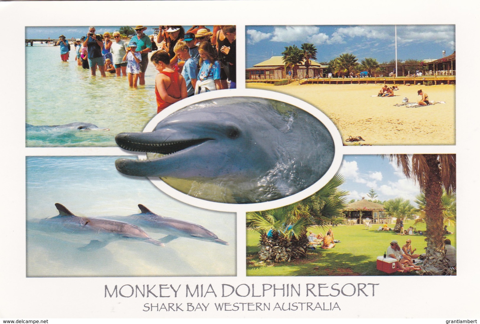 Monkey Mia Dolphin Resort, Shark Bay, Western Australia - Unused - Altri & Non Classificati