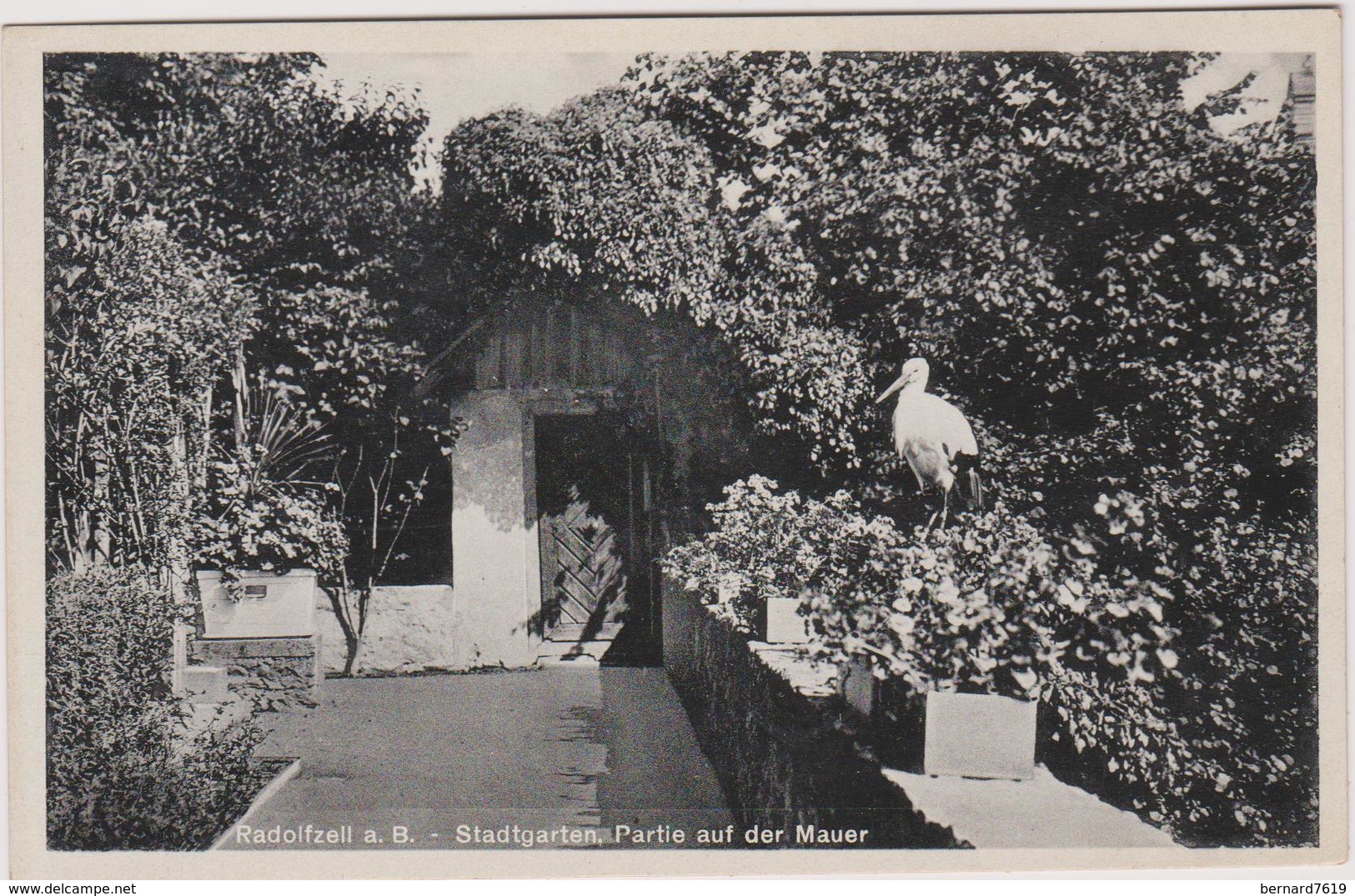 Allemagne  Radolfzell A Bodensee Stadtgarten ,partie Auf Der Mauer - Radolfzell