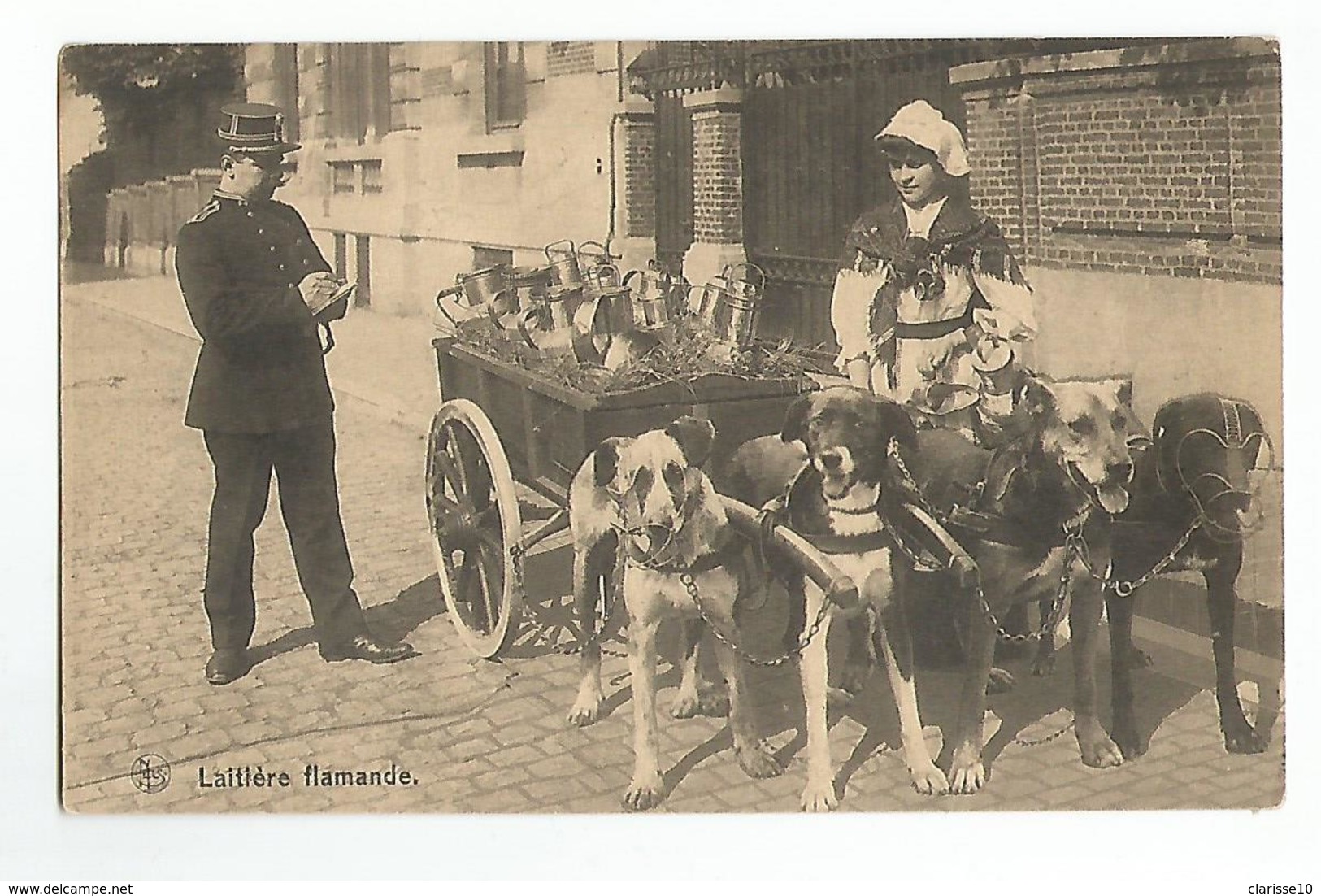 Belgique Laitieres Attelage De Chiens - Ambulanti