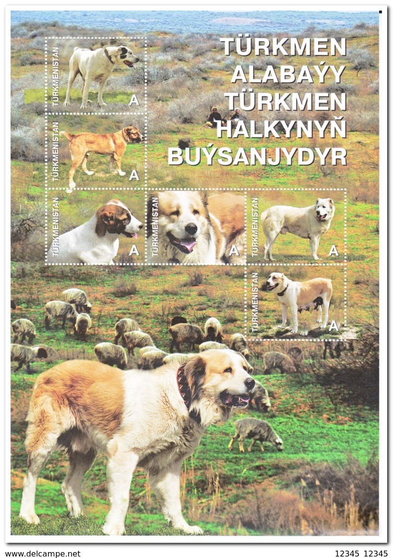 Turkmenistan 2013, Postfris MNH, Dogs - Turkmenistan
