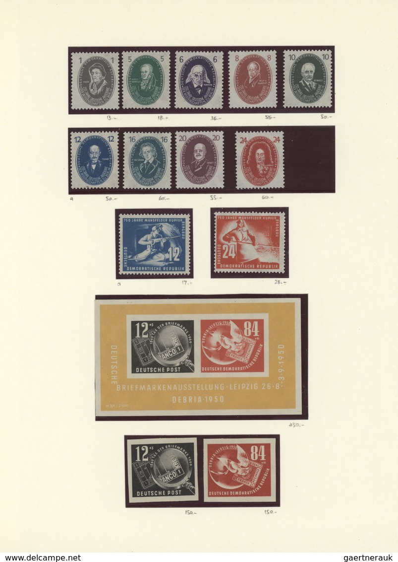 DDR: 1948/1990, Umfassende, Meist Postfrische Sammlung In 7 Klemmbindern Sauber Auf Blanko-Blättern - Collections