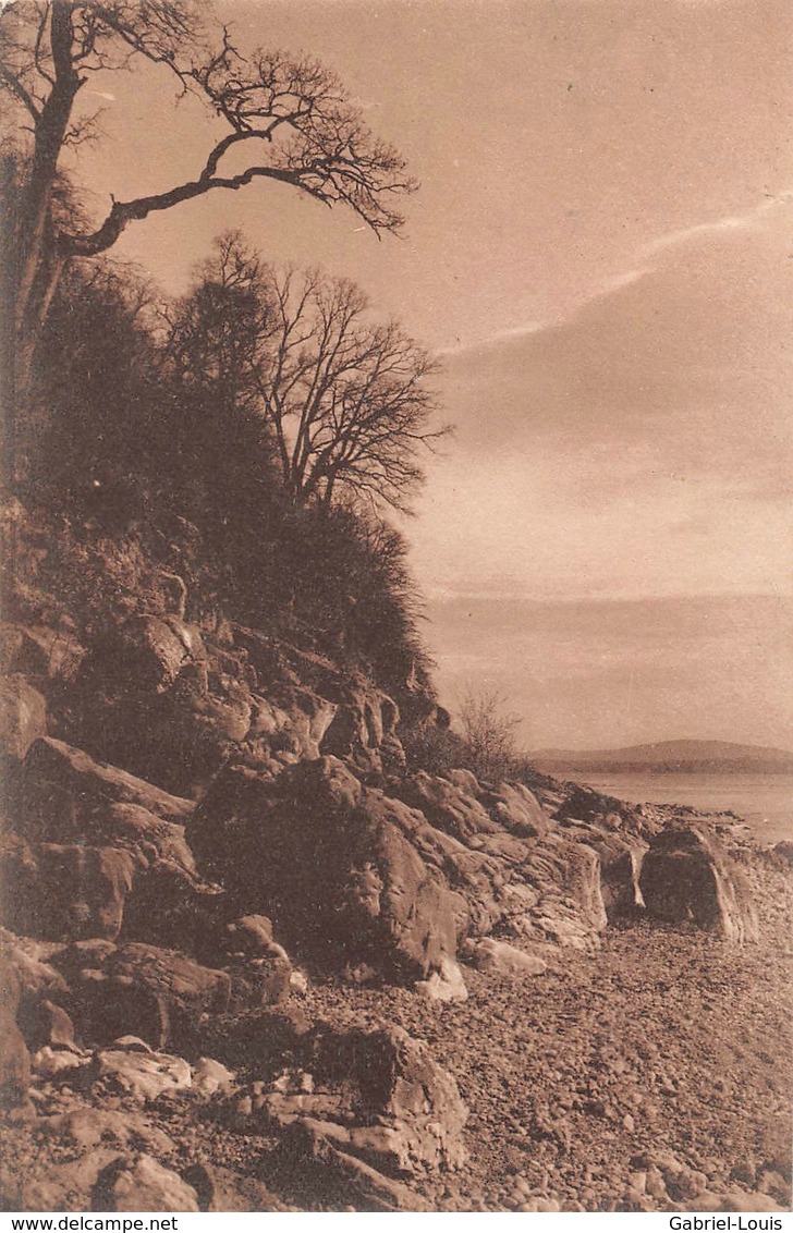 Photo Chiffelle Hauterive - Lac De Neuchâtel - Hauterive