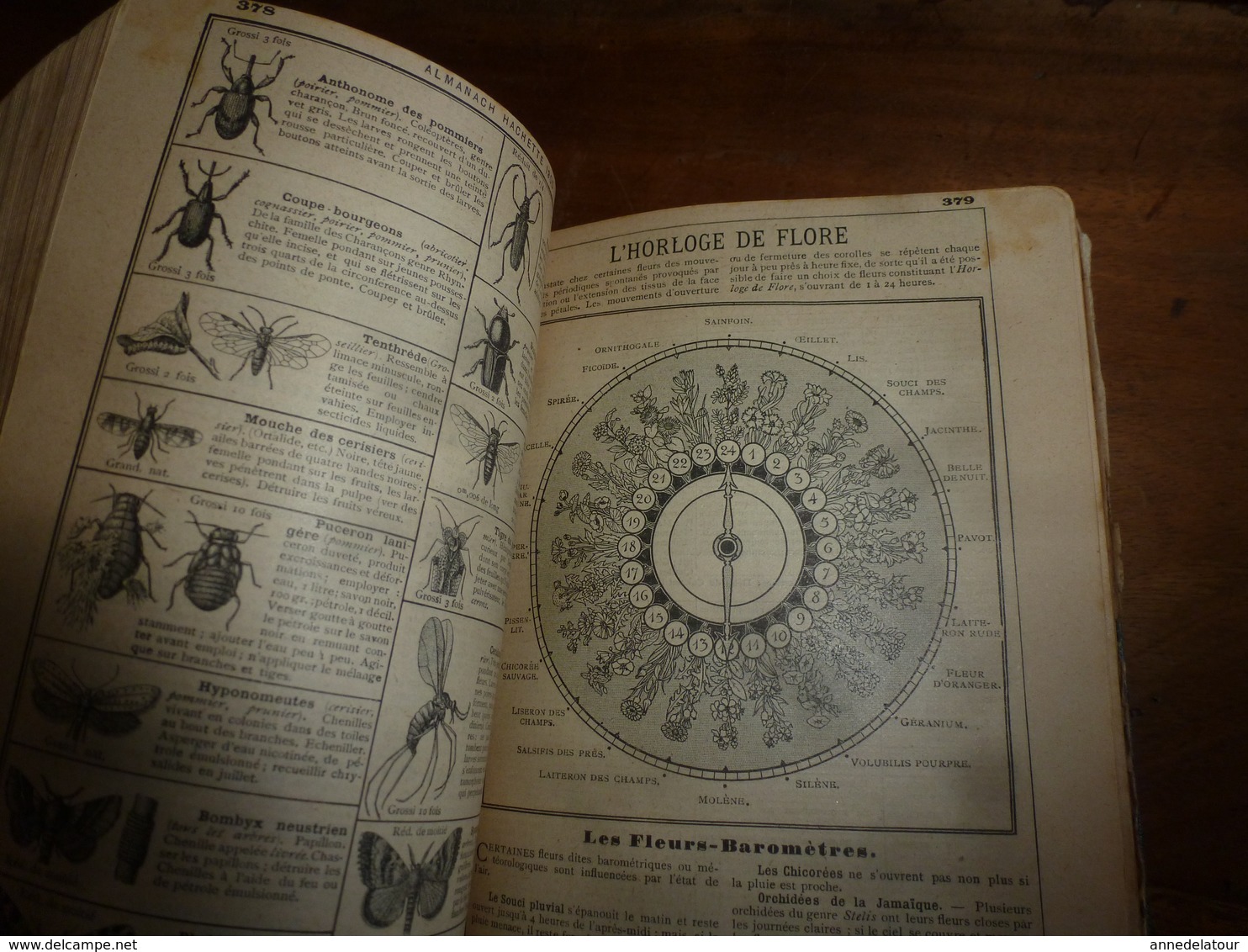 1905 L'HORLOGE DE FLORE ; Etc ---->édition Originale De Luxe ALMANACH HACHETTE - Collections