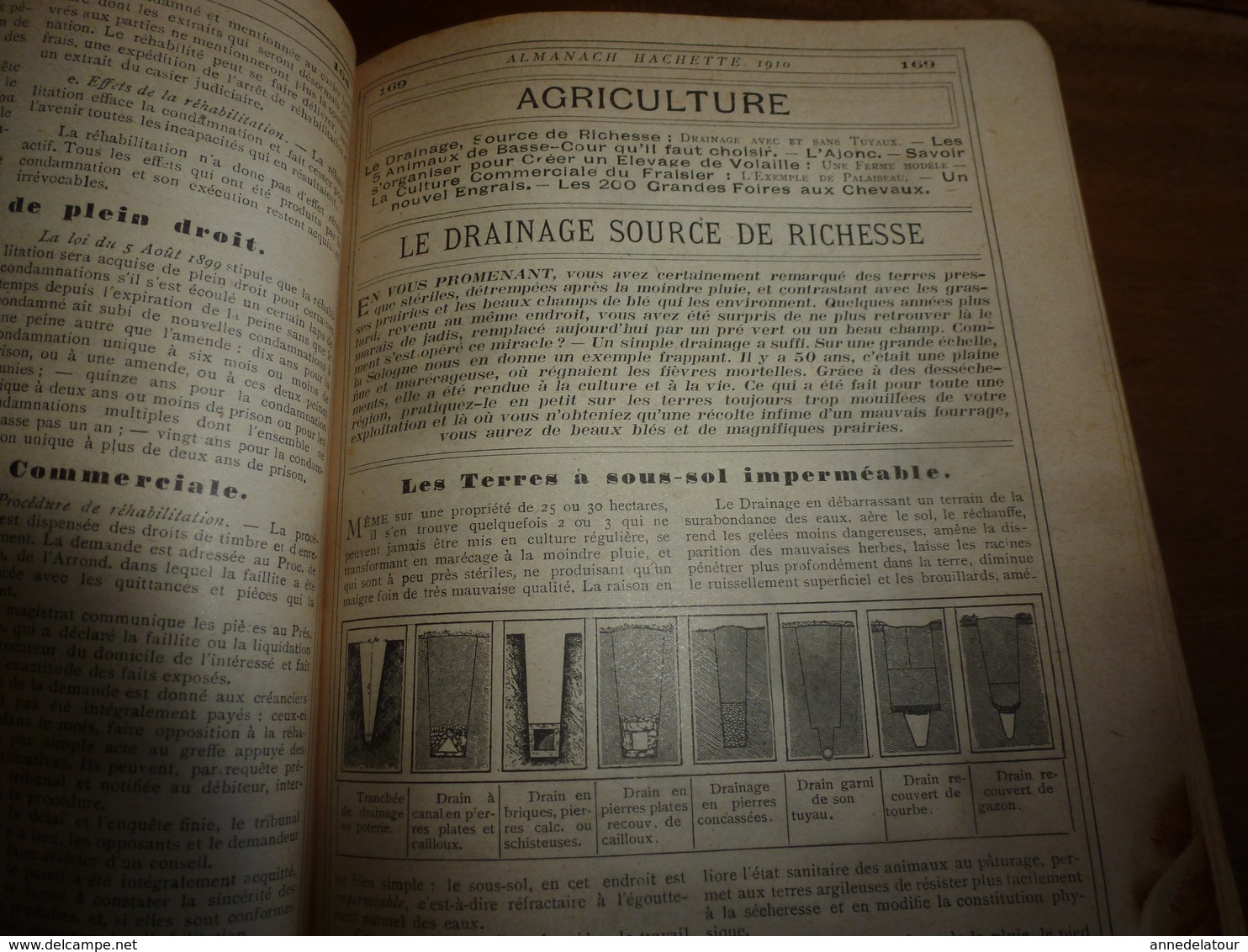 1910 Comment la barbe et les cheveux changent l'homme;etc---> ALMANACH HACHETTE  (Petite Encyclopédie Populaire)