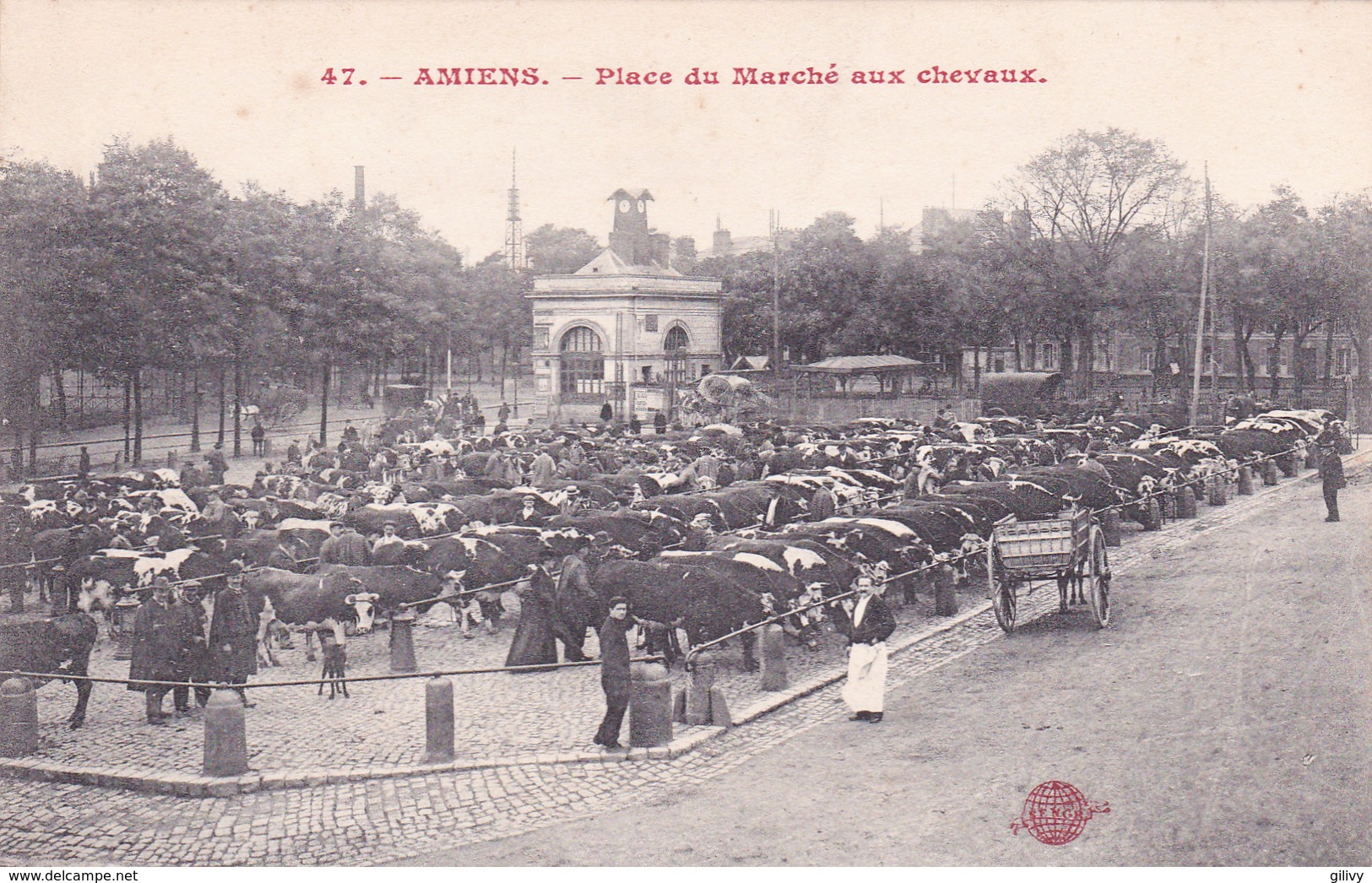 AMIENS - Place Du Marché Aux Chevaux - Amiens