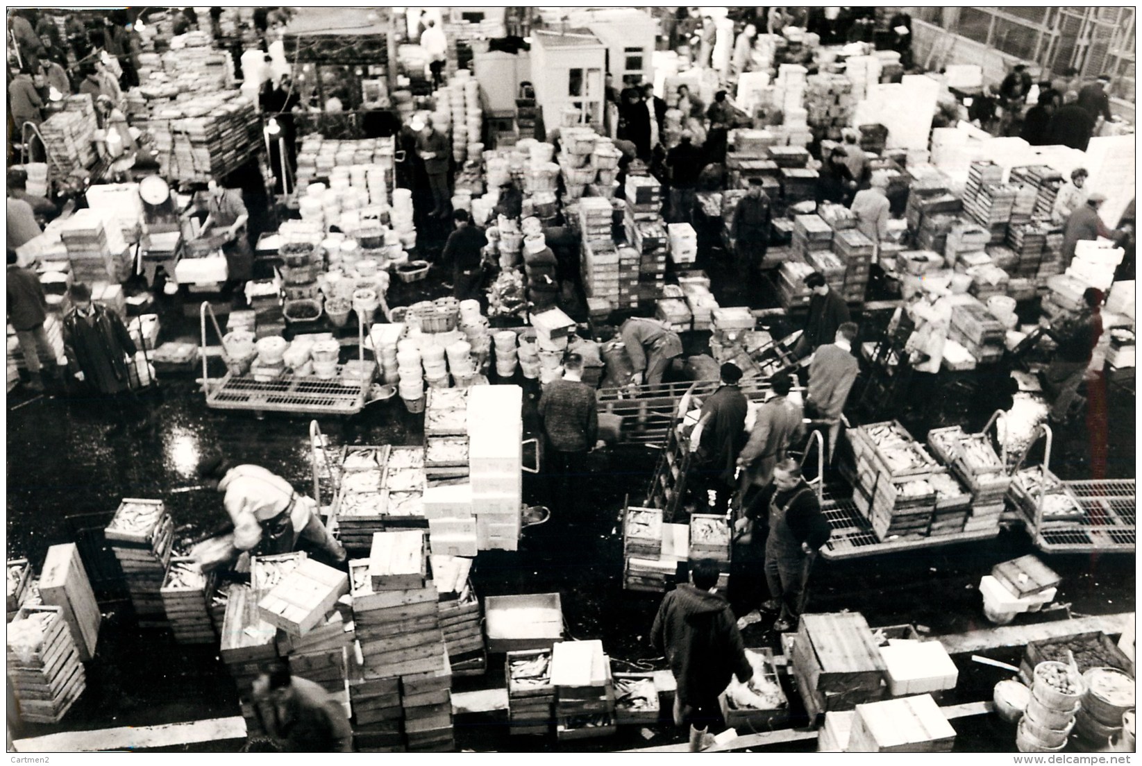 GRANDE PHOTOGRAPHIE : LES HALLES DE RUNGIS PRIMEURS GROSSISTE PHOTOGRAPHE 94 VAL-DE-MARNE 29 X 20 CM - Rungis