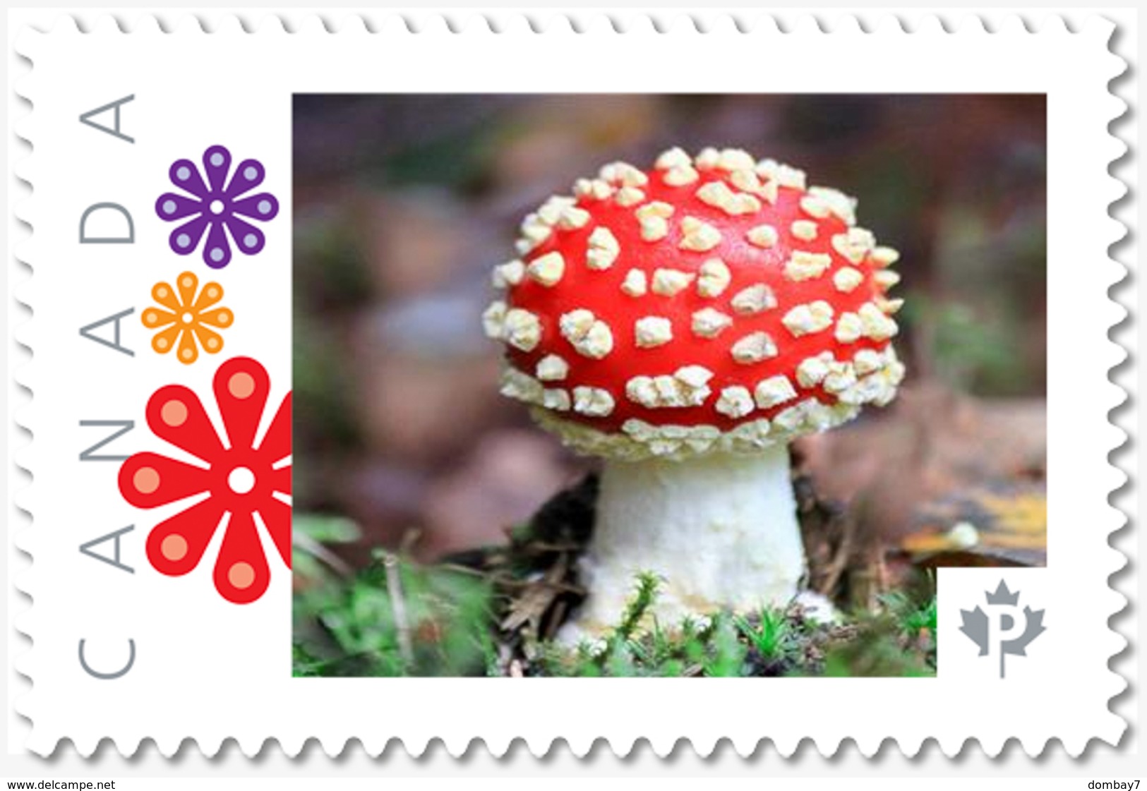 Young FLY AGARIC MUSHROOM = Picture Postage Stamp MNH Canada 2018 [p18-09-09] - Mushrooms