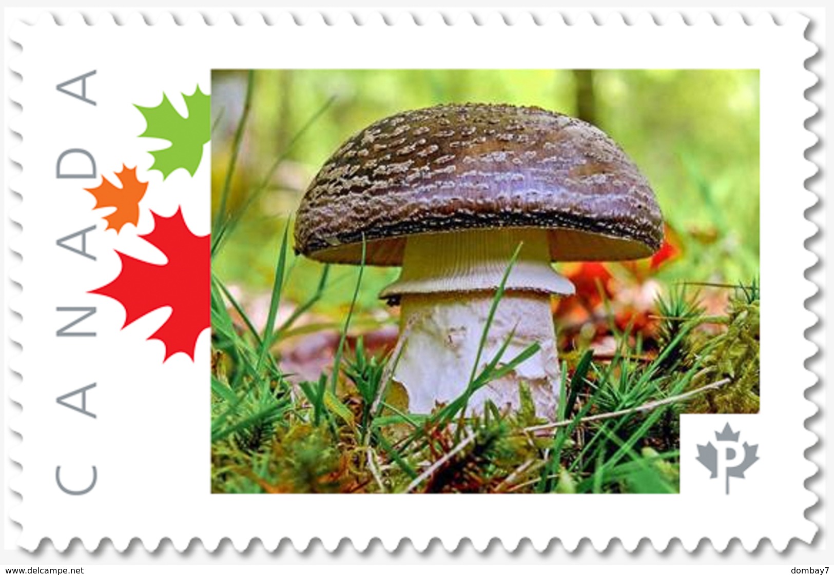 BROWN MUSHROOM = Personalized Picture Postage Stamp MNH Canada 2018 [p18-09-10] - Mushrooms