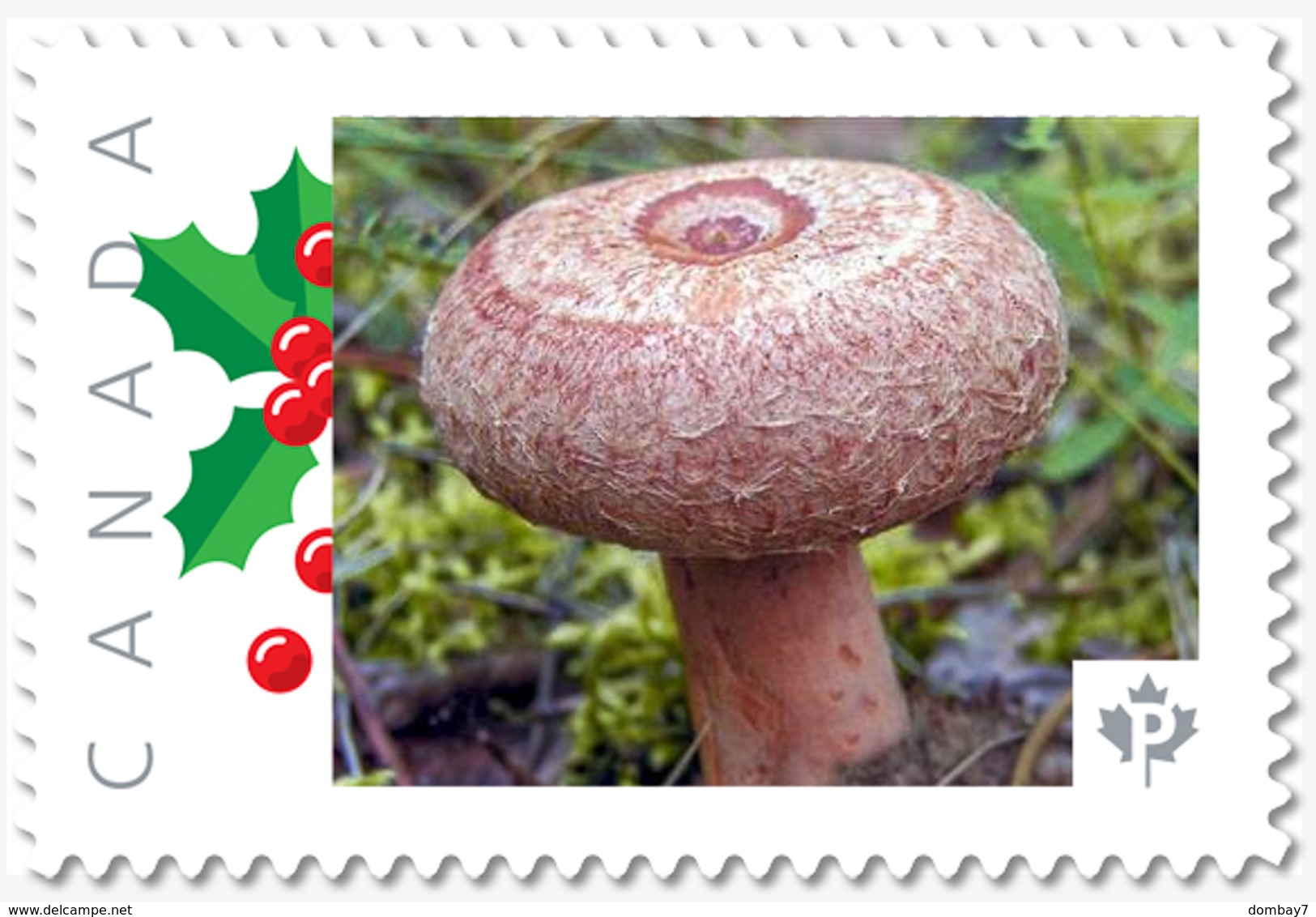 RED MUSHROOM = Personalized Picture Postage Stamp MNH Canada 2018 [p18-09-11] - Mushrooms