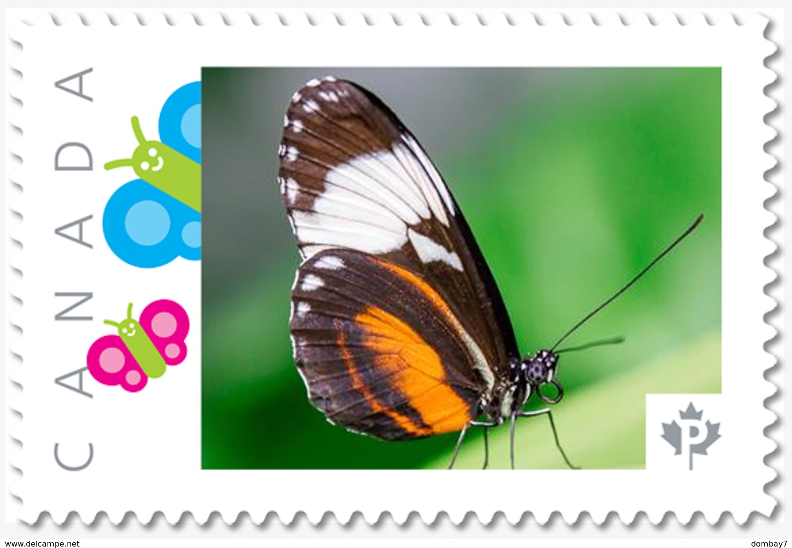 BUTTERFLY Isabella = Personalized Picture Postage Stamp MNH Canada 2018 [p18-09-19] - Papillons