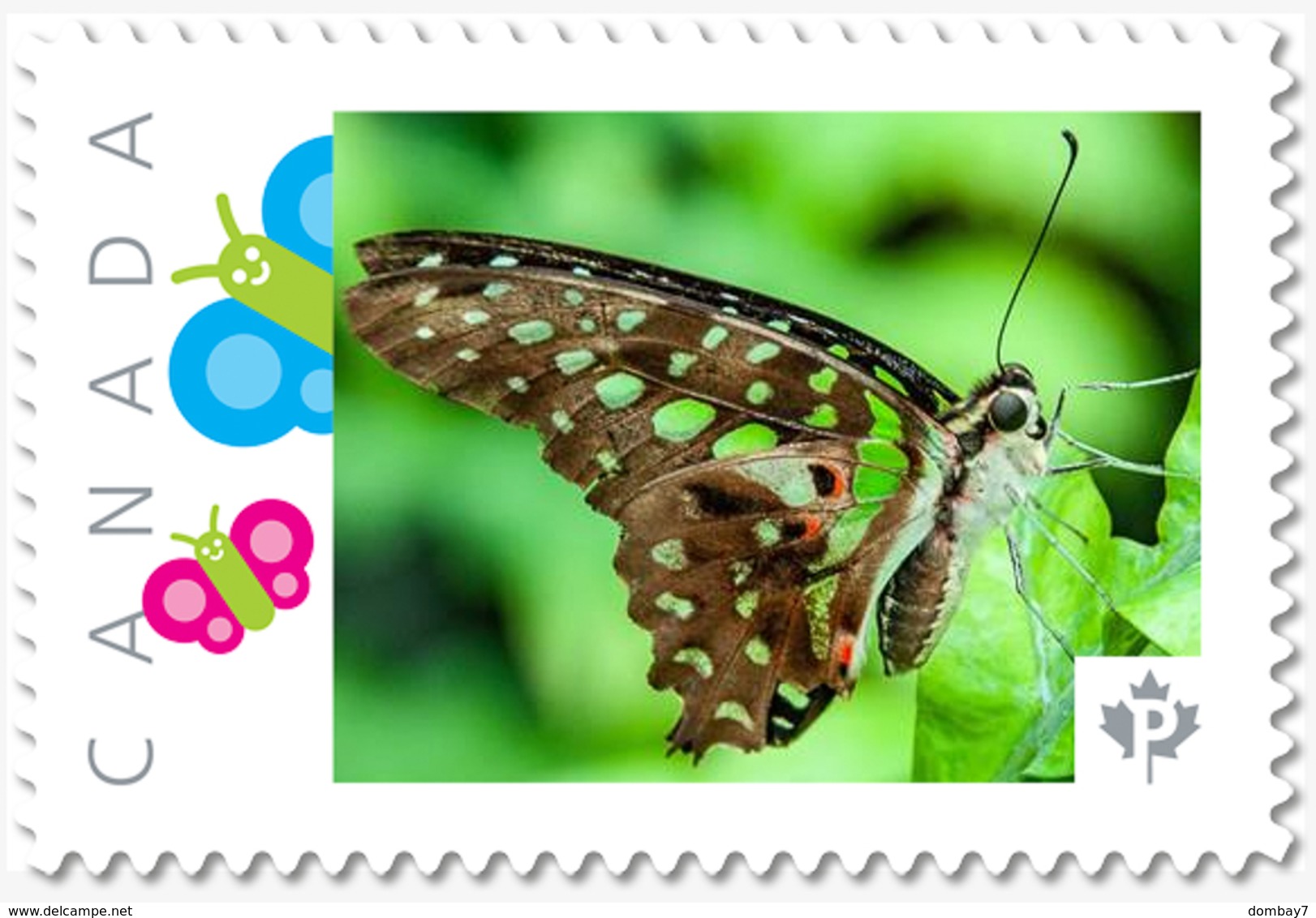 Malachite BUTTERFLY = Personalized Picture Postage Stamp MNH Canada 2018 [p18-09-22] - Papillons