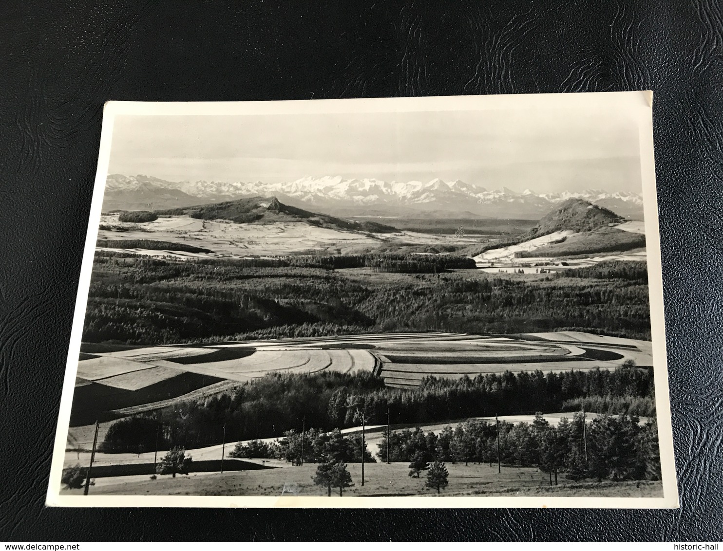 237 - Vue Du Witthoh Pres De Tuttlingen Sur Les Monts Hohenstoffeln, Hohenhowen Et Les Alpes De Berne - Tuttlingen