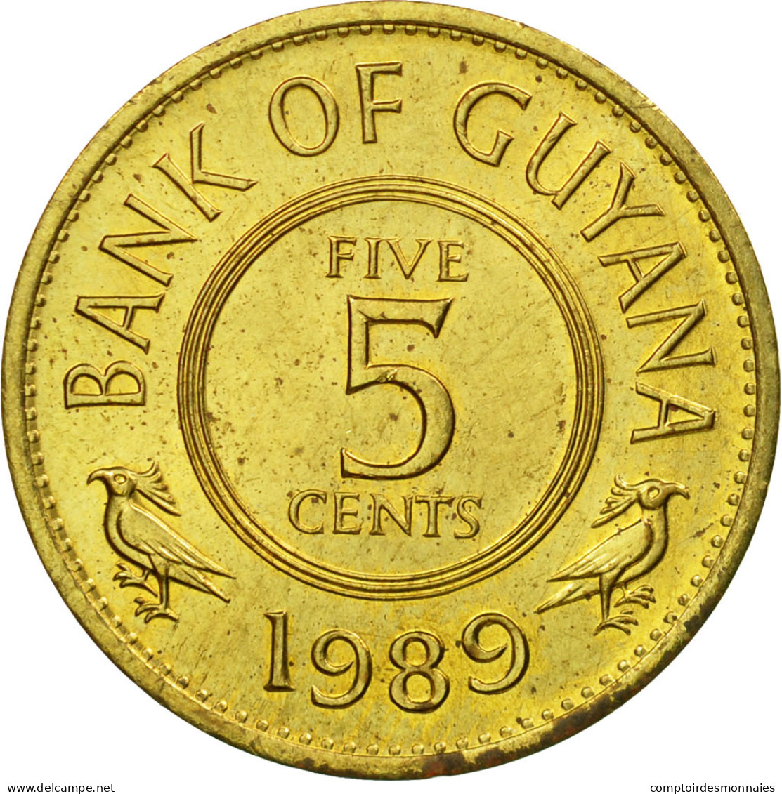 Monnaie, Guyana, 5 Cents, 1989, TTB, Nickel-brass, KM:32 - Guyana