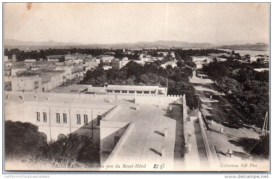 ALGERIE - BISKRA - Panorama Pris Du Royal Hotel - Biskra