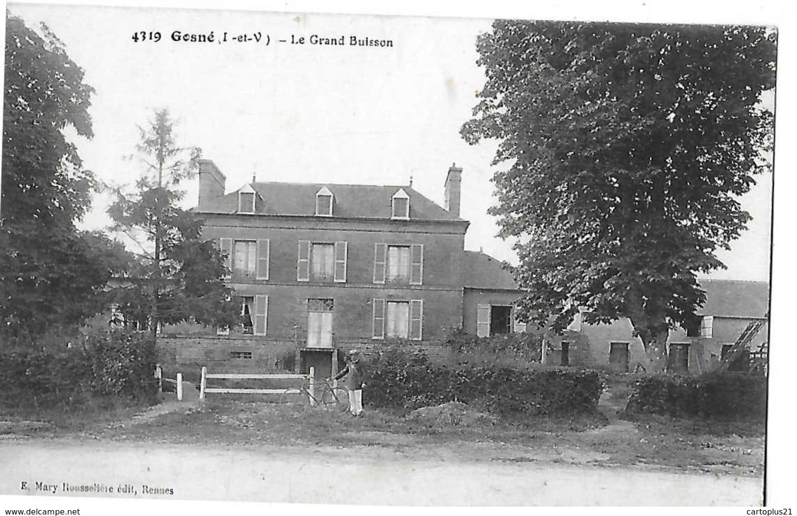 G0SNE N 4319  LE GRAND BUISSON   GROS PLAN Petit Defaut   DEPT 35 - Other & Unclassified