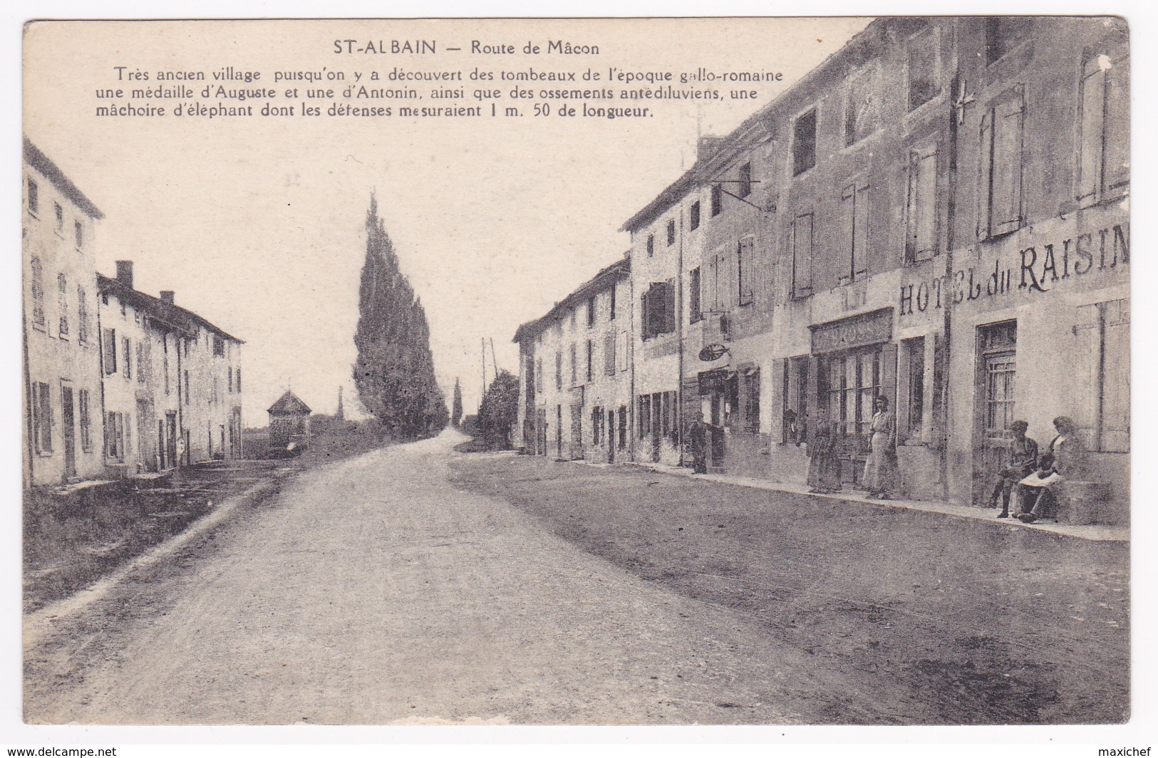 Saint Albain - Route De Mâcon- Texte Historique, Hôrle Du Raisin, Animation - Pas Circulé - Autres & Non Classés