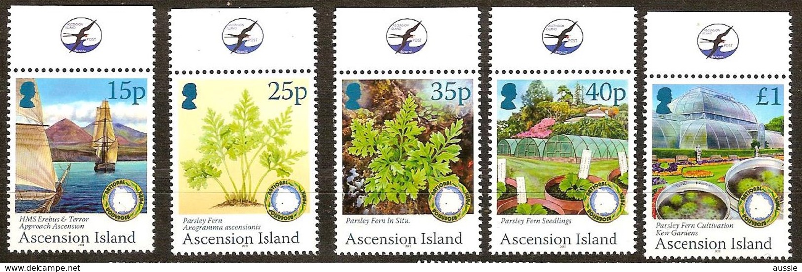 Ascension 2011  Yvertn° 1016-1020 Mi 1126-1130 *** MNH Flore Parsley Peterselie - Ascension (Ile De L')