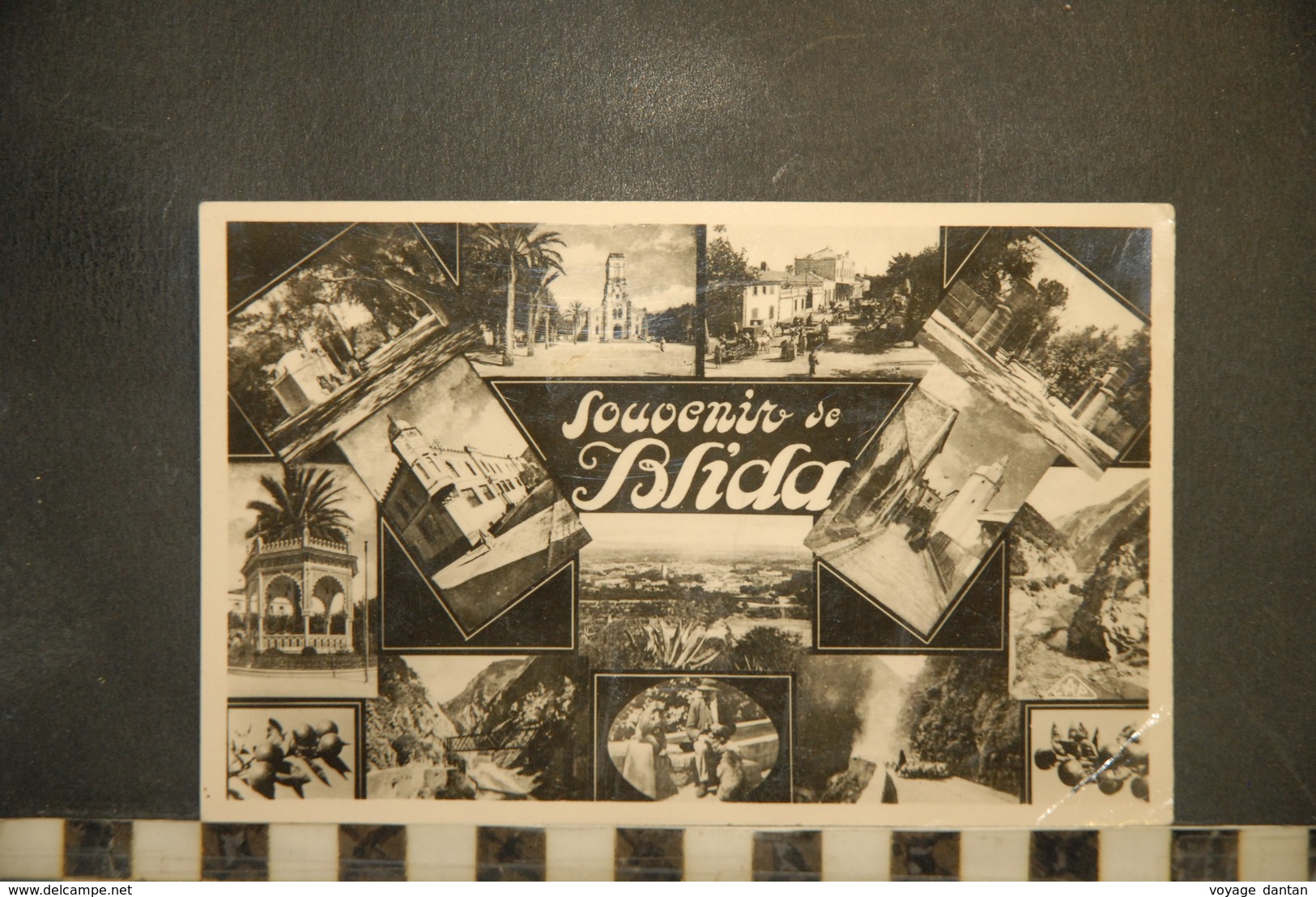 CP, ALGERIE, Souvenir De BLIDA, Diverses Vues - Blida