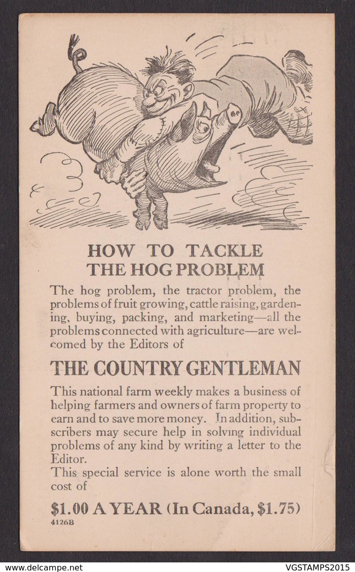 USA-1917 Entier PUB Cochon (5G25781) DC0069 - Autres & Non Classés