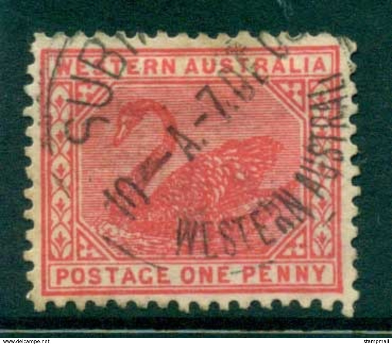 WA 1905-11 1d Red Swan Typo Perf 12.5 Wmk Crown A FU Lot28368 - Used Stamps