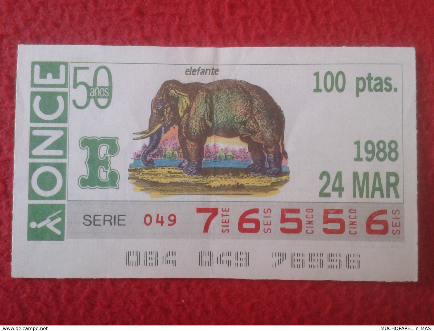 CUPÓN DE ONCE SPANISH LOTTERY LOTERIE CIEGOS SPAIN LOTERÍA ESPAÑA FAUNA FAUNE 1988 ELEFANTE ELEPHANT éléphant  ANIMAL - Billetes De Lotería