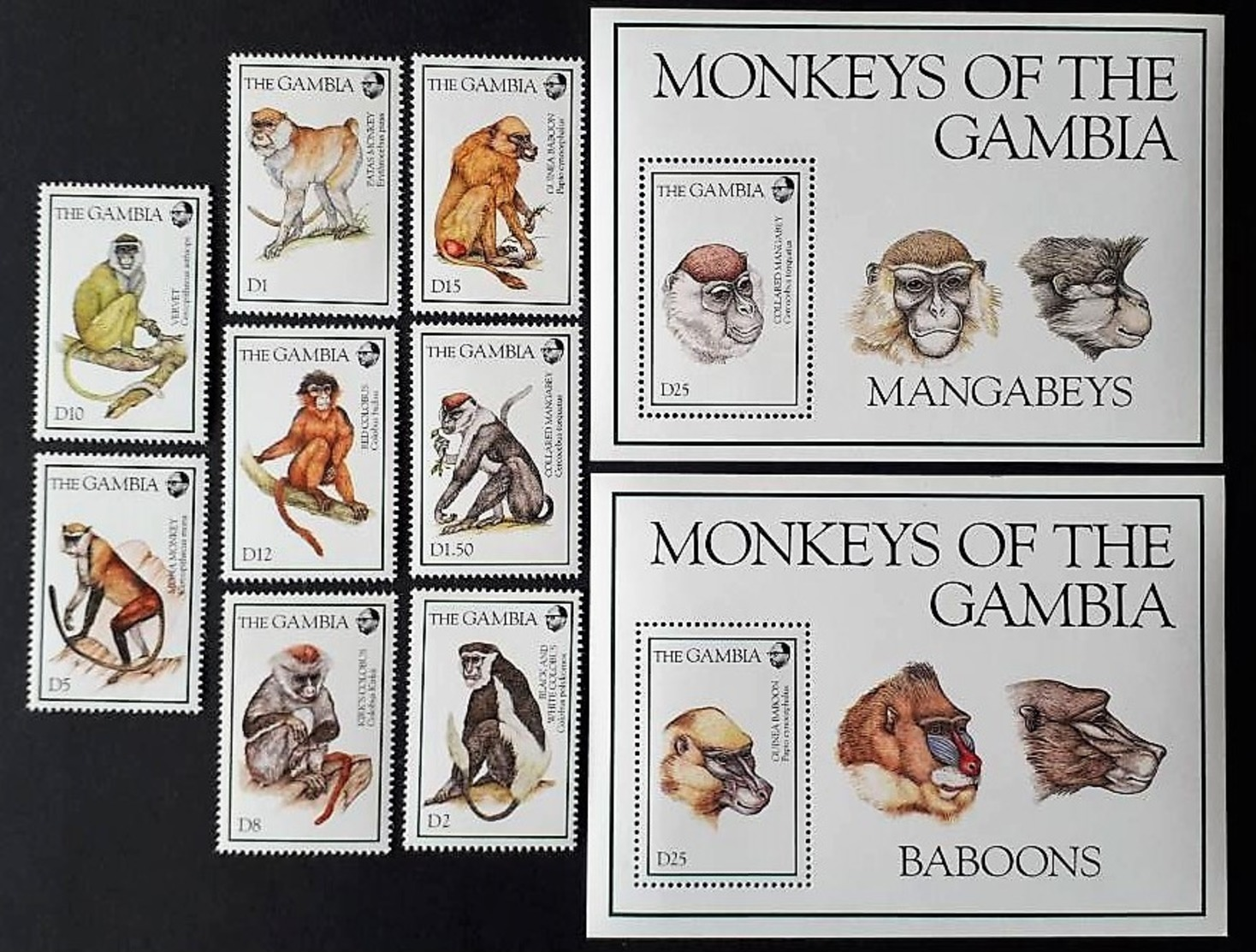 Gambia 1994** Mi.1902-11 Monkeys MNH [22;24] - Autres & Non Classés