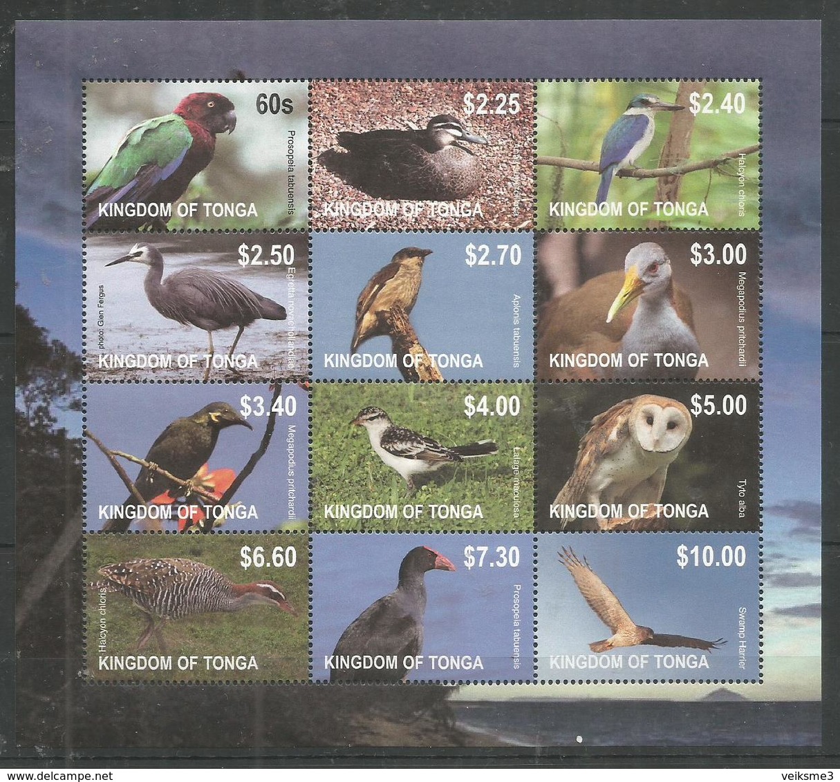 KINGDOM OF TONGA - MNH - Animals - Birds - Owls