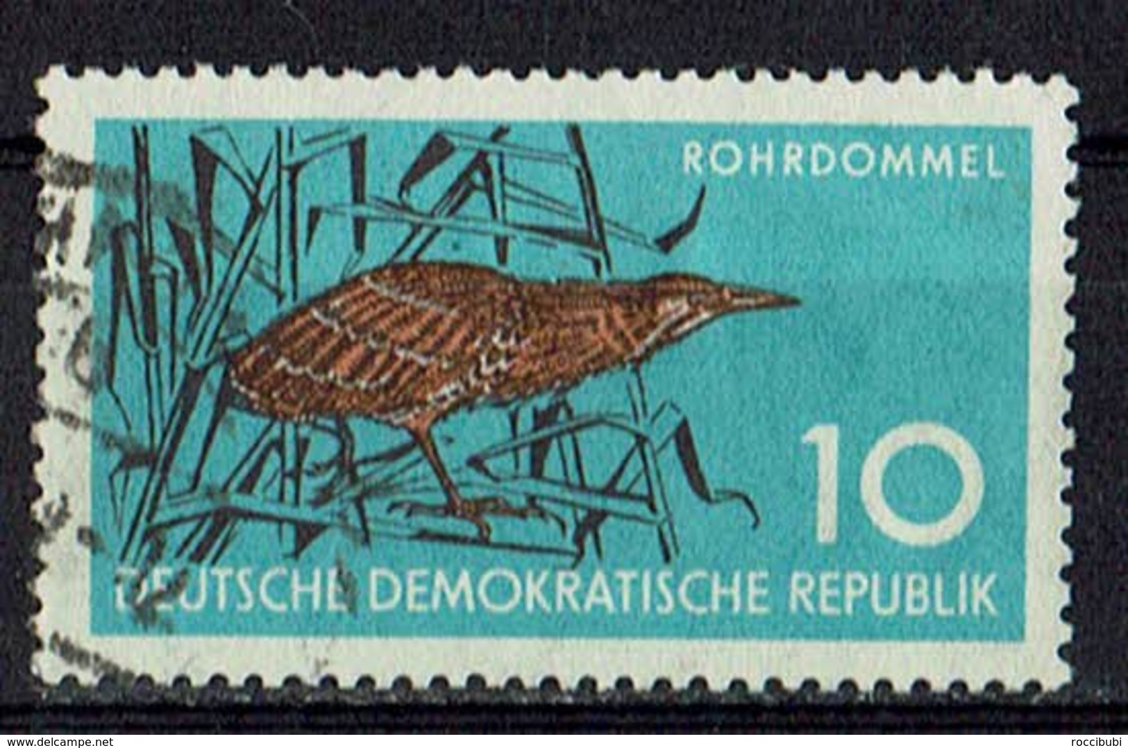 DDR 1959 O - Kiwis