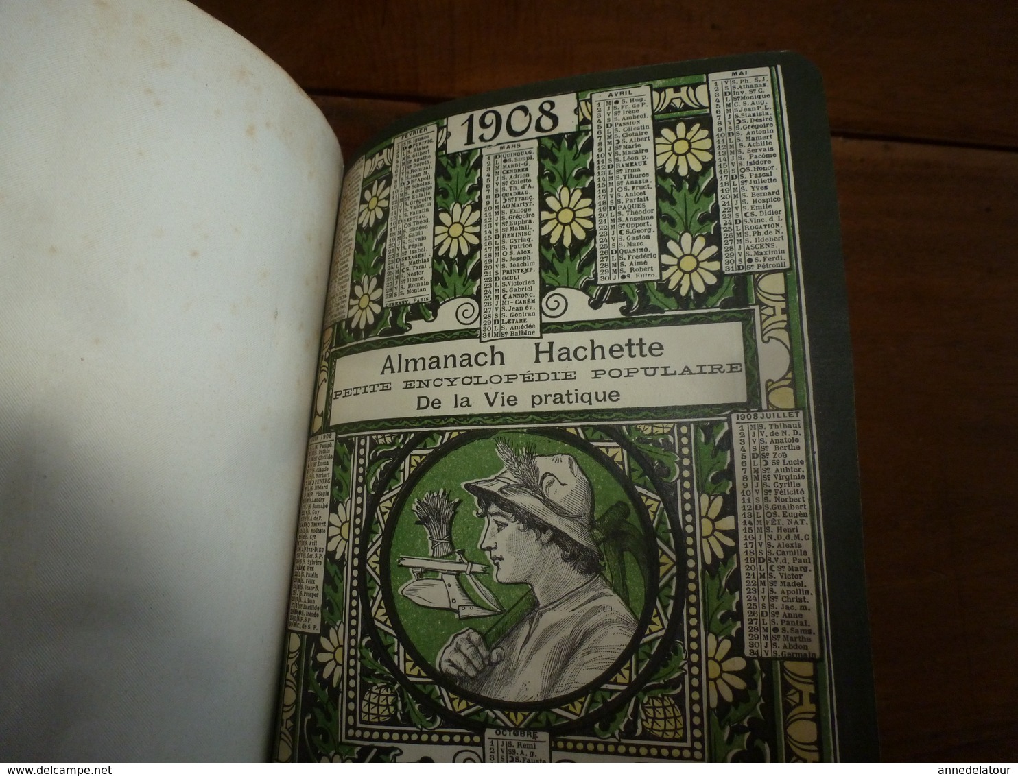 1908 Maroc;Champignons;Nuisibles à la vigne(édit. luxe) ALMANACH HACHETTE(Encyclopédie Populaire de la Vie Pratique) etc