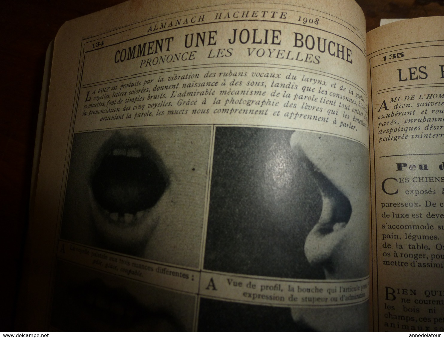 1908 Maroc;Champignons;Nuisibles à la vigne(édit. luxe) ALMANACH HACHETTE(Encyclopédie Populaire de la Vie Pratique) etc