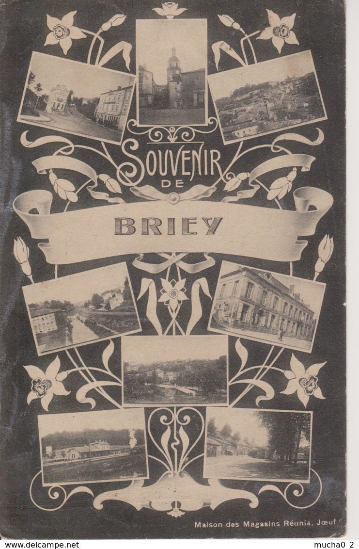 54 - BRIEY- MULTIVUES - Briey