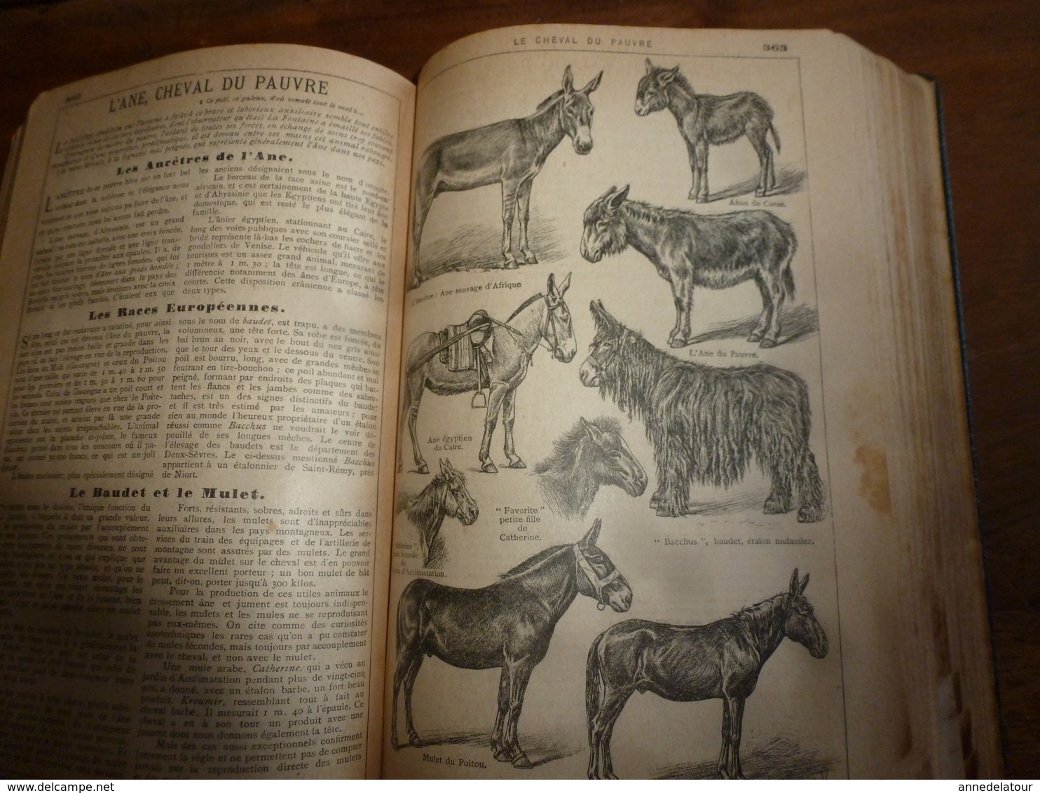 1907 Naufrage du HILDA à St-Malo;Benjamin Rabier;etc(éd. luxe) ALMANACH HACHETTE (Encycl. Populaire de la Vie Pratique);