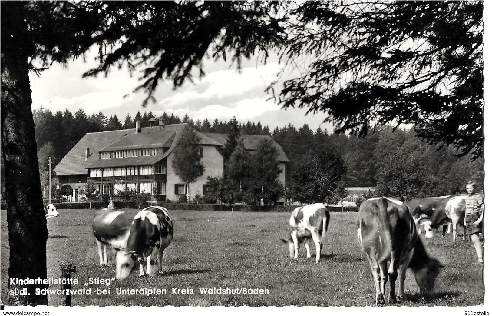 Allemagne   KINDERHEILSTATTE  STIEG -  WALDSHUT BADEN    (  Voir Le Verso) - Waldshut-Tiengen