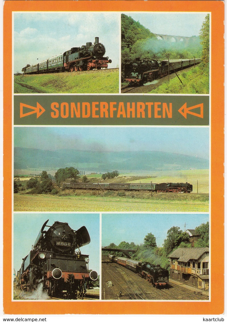 Sonderfahrt - Dampflokomotiven 74 1230, 50 849, 01 118, 65 1049 & 03 001 - Elstertal,Stadtilm,Eilsleben,Döbeln - (D.D.R) - Treinen