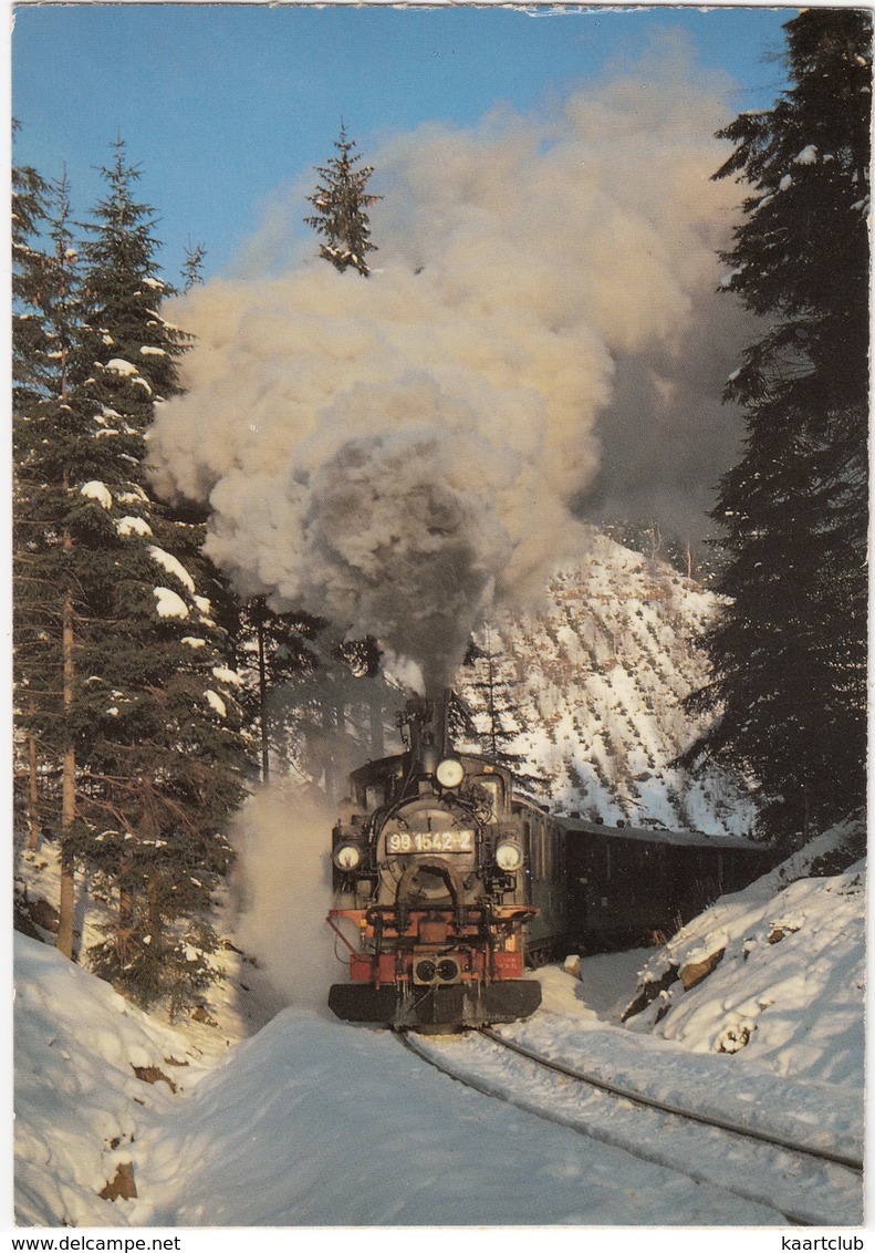 Sihltalbahn (Zürich-Selnau-Sihlbrugg) - 'Schnaaggi-Schaaggi' Bummelzügli, Mit Dampflokomotive Nr. 5 (1899, Winterthur) - Treinen