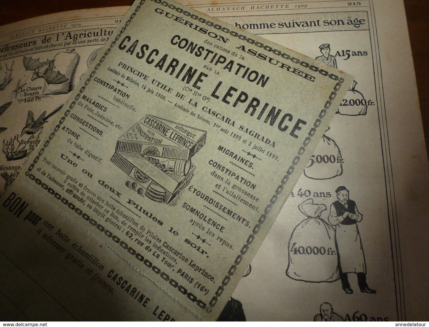 1909 En BRETAGNE 13 maris pour 1 femme, En ALSACE  2/3 de mari pour 1 femme;etc (éd. luxe) ALMANACH HACHETTE