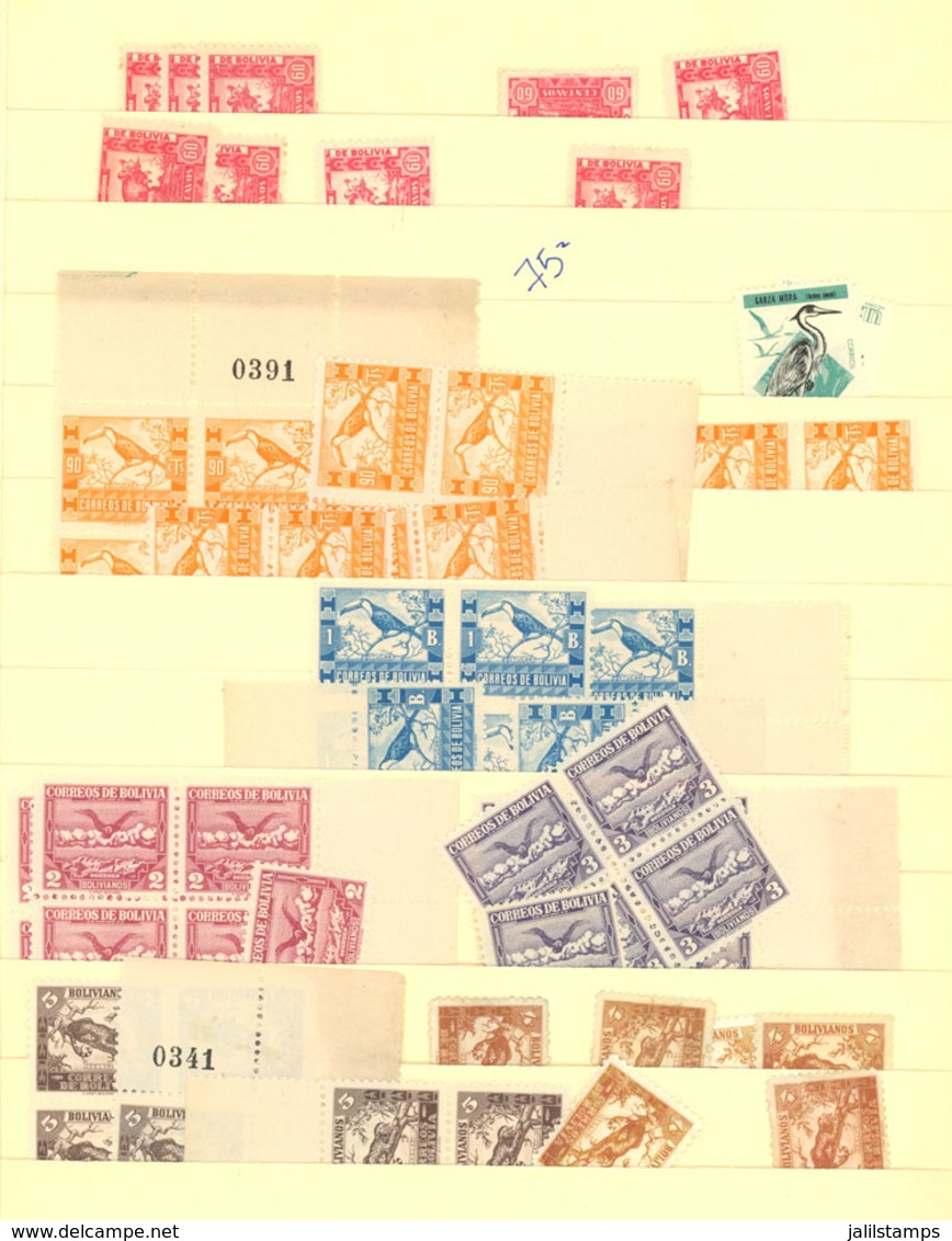 BOLIVIA: Very Good Stock Of Mint Stamps (many MNH!) On Stock Pages, It Includes Good Sets And Some Varieties, Moderate D - Bolivia