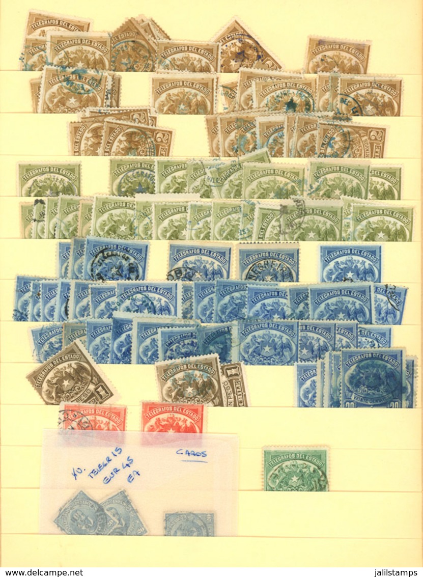 CHILE: "TELEGRAPH Stamps, Postage Due Stamps, Official Stamps Etc.: Accumulation On Stockpages, Several Hundreds Stamps  - Chile