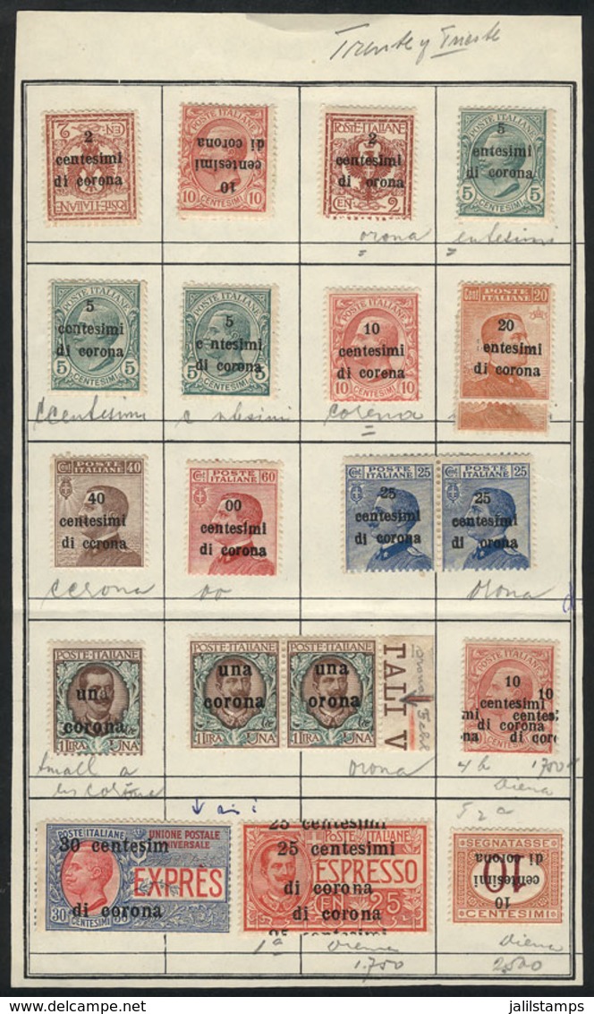 ITALY - TRENTE AND TRIESTE: VARIETIES: Approvals Book Page With Stamps Issued In 1919, All With Good Overprint Varieties - Autres & Non Classés