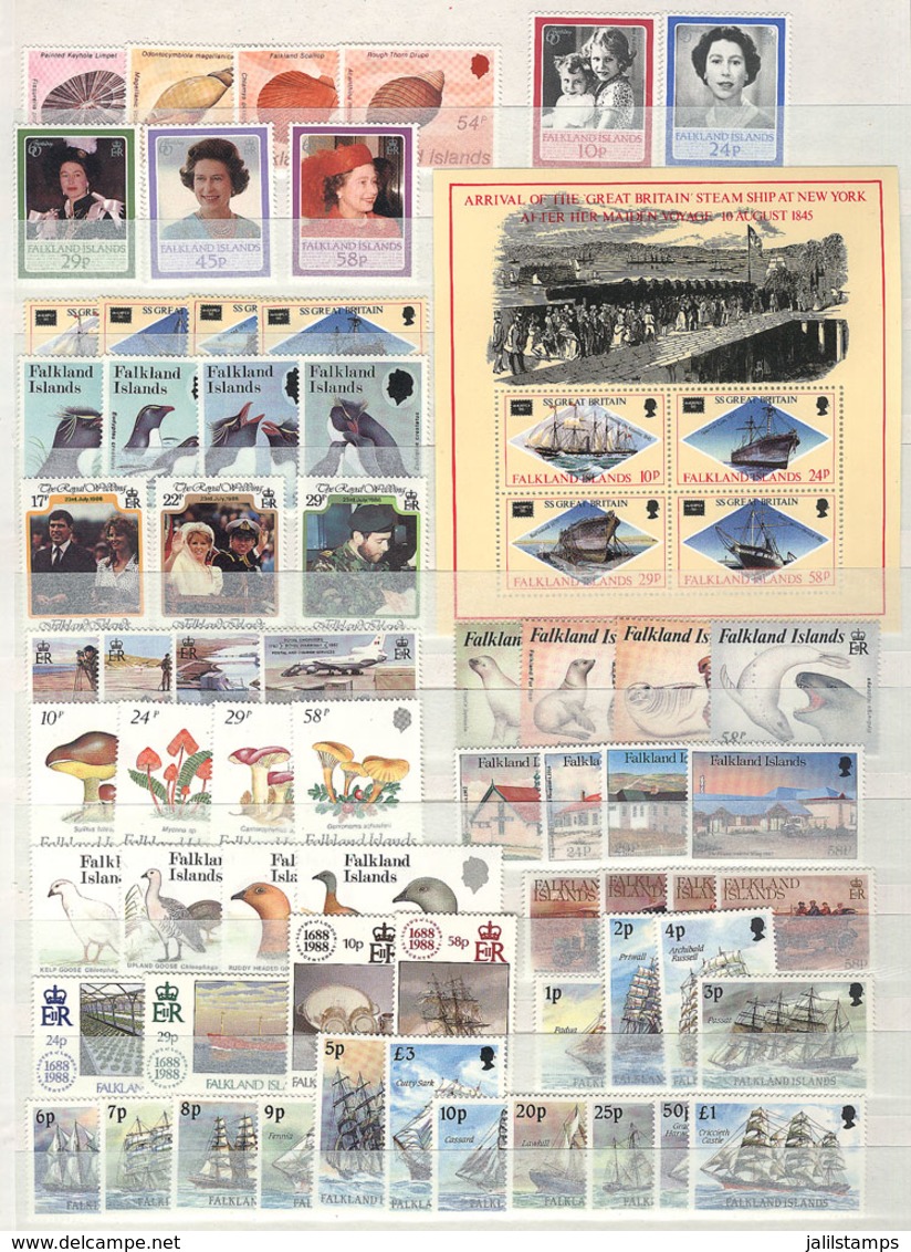 FALKLAND ISLANDS/MALVINAS: Lot Of Modern Sets In A Stockbook, MNH And Of Excellent Quality, Also VERY THEMATIC. The Scot - Falkland Islands